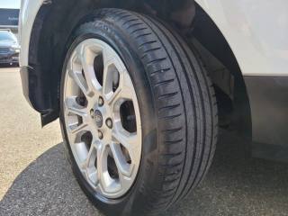 FORD EcoSport usata, con Sensori di parcheggio posteriori