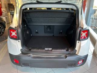 JEEP Renegade usata, con ESP