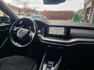 SKODA Octavia usata 125