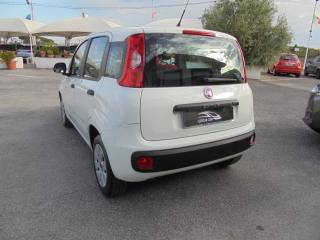 FIAT Panda usata, con Servosterzo
