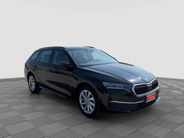 SKODA Octavia usata 6