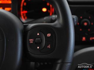 FIAT Panda usata 31