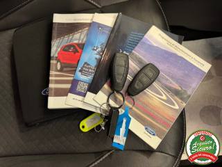 FORD EcoSport usata, con Portellone posteriore elettrico