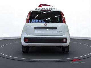 FIAT Panda usata 7