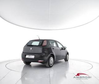 FIAT Punto usata 2