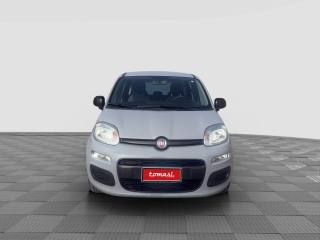 FIAT Panda usata 3
