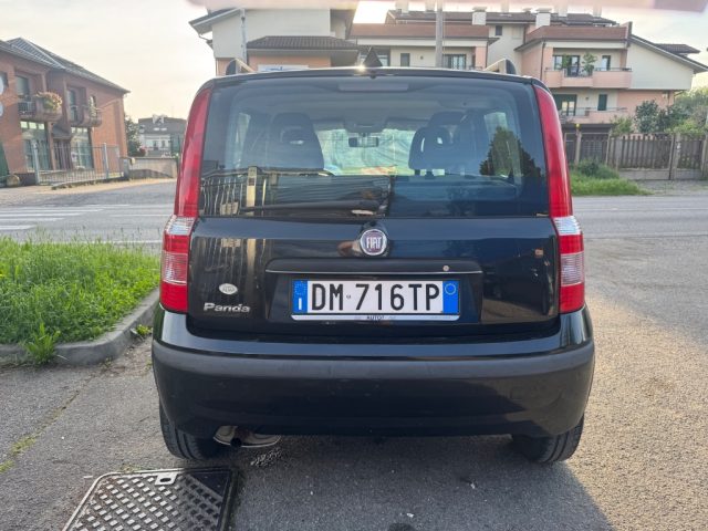 FIAT Panda usata 2