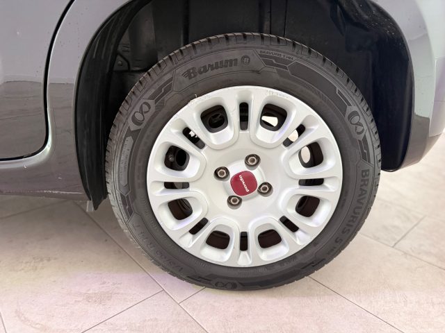 FIAT Panda usata 14