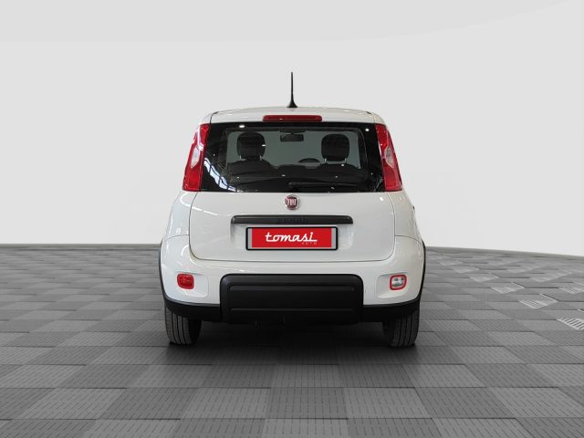 FIAT Panda usata 3