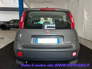FIAT Panda usata, con Start/Stop Automatico