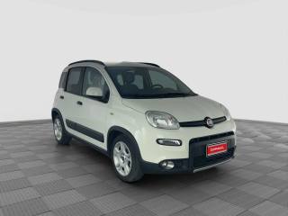 FIAT Panda usata 6
