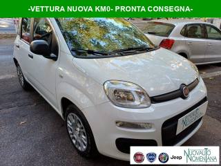 FIAT Panda Pandina 1.0 FireFly S&S Hybrid Icon Km0