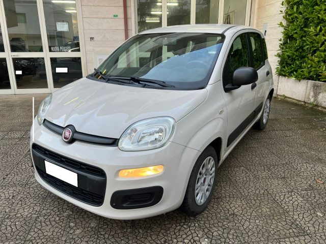 FIAT Panda usata 2