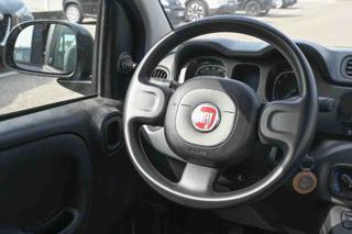 FIAT Panda usata 19