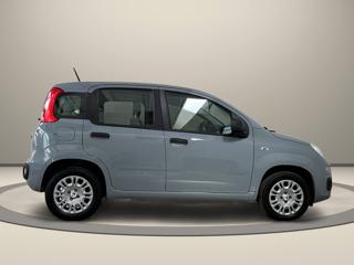 FIAT Panda usata, con Alzacristalli elettrici