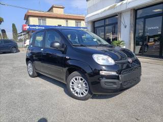 FIAT Panda 1.0 FireFly S&S Hybrid PREZZO REALE