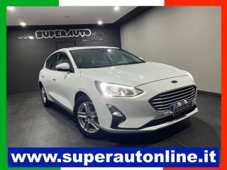 FORD Focus 1.5 EcoBlue 120 CV 5p. Business