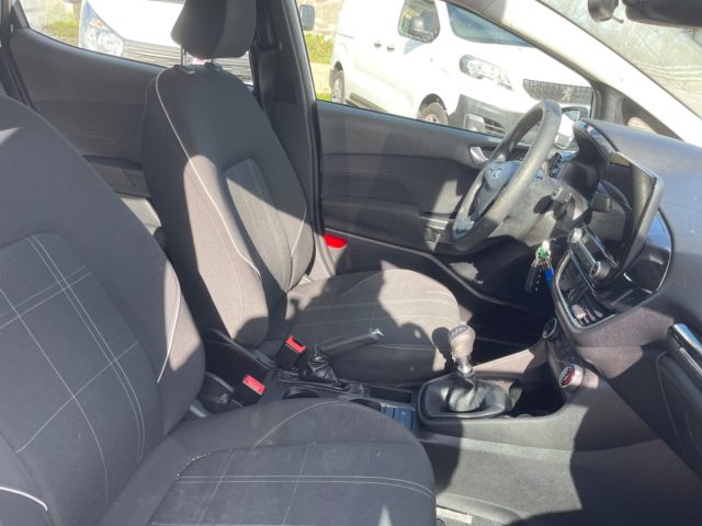 FORD Fiesta usata 10