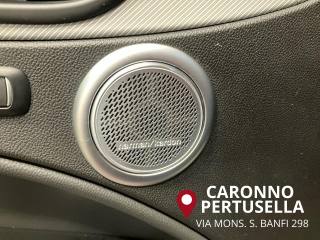 ALFA ROMEO Stelvio usata, con ESP