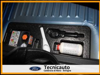 FORD EcoSport usata, con Airbag testa