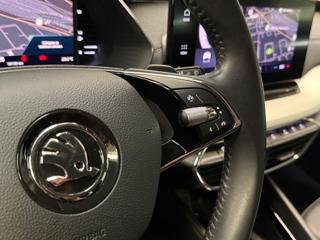 SKODA Octavia usata, con Leve al volante