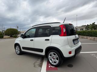 FIAT Panda usata 43