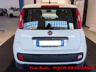 FIAT Panda usata, con Marmitta catalitica