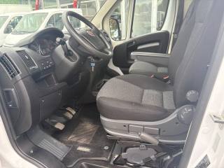 FIAT Ducato usata, con ESP