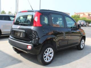FIAT Panda usata, con Alzacristalli elettrici