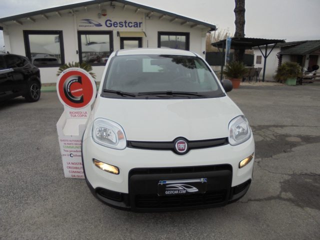 FIAT Panda usata, con Airbag Passeggero
