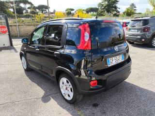 FIAT Panda usata 2
