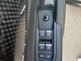 AUDI SQ5 usata, con Volante in pelle