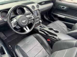 FORD Mustang usata, con Controllo automatico clima