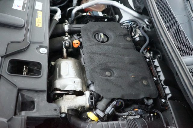 PEUGEOT 3008 usata 66