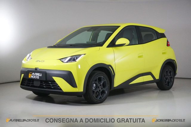 BYD Dolphin usata, con ABS