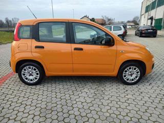 FIAT Panda usata, con Boardcomputer