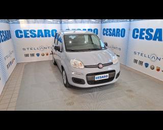 FIAT New Panda 1.0 hybrid 70cv