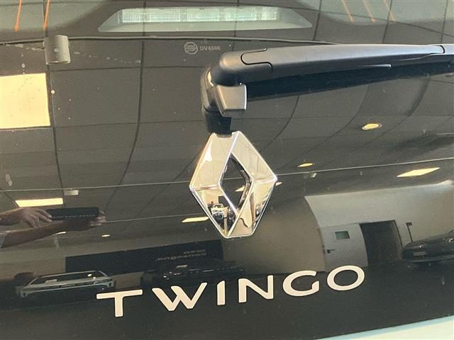 RENAULT Twingo usata 19