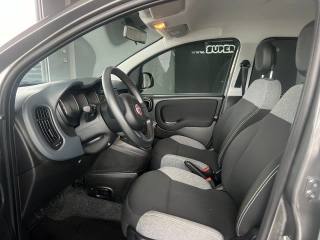 FIAT Panda usata, con Antifurto