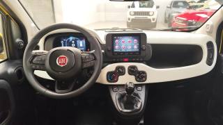 FIAT Panda usata, con Fendinebbia