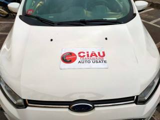 FORD EcoSport usata, con Servosterzo