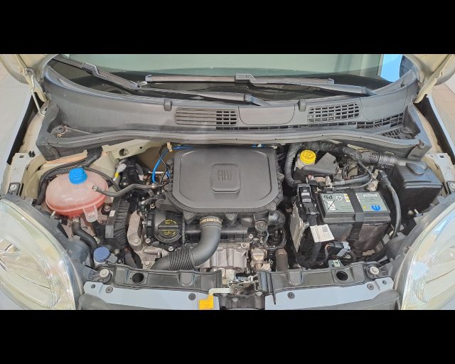 FIAT New Panda usata 19