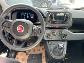 FIAT Panda usata, con Frenata d