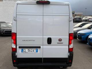 FIAT Ducato usata, con Servosterzo
