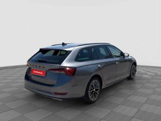 SKODA Octavia usata 4