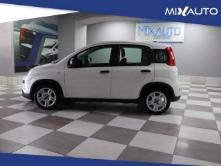FIAT Panda usata, con Airbag Passeggero