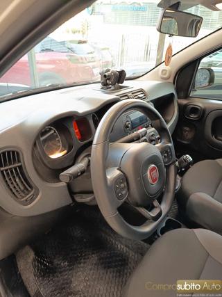 FIAT Panda usata 20