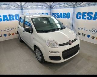 FIAT Pandina 1.0 firefly hybrid Pop s&s 65cv