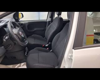 FIAT Pandina usata 20