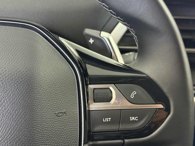 PEUGEOT 3008 usata 16